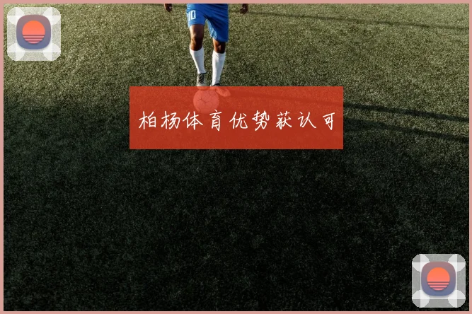柏杨体育优势获认可