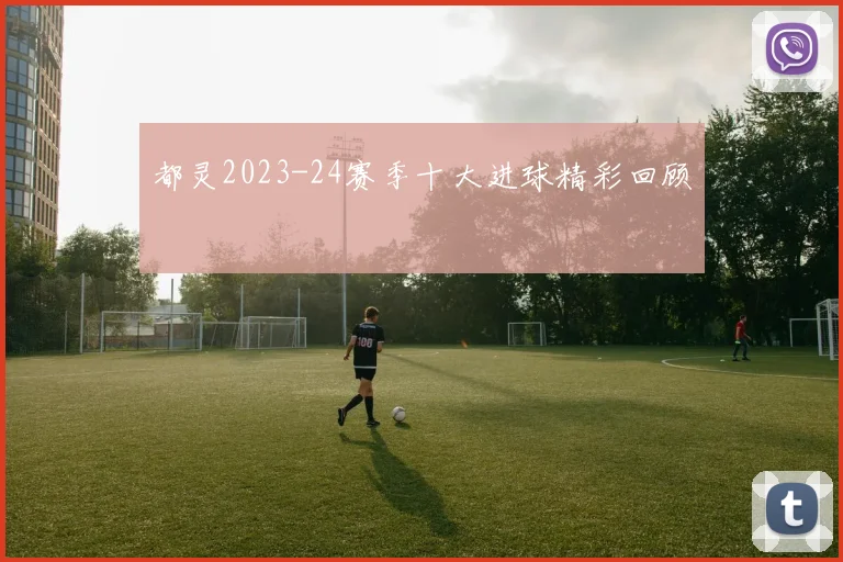 都灵2023-24赛季十大进球精彩回顾